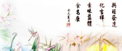 Xing Hua Vegetarian Restaurant